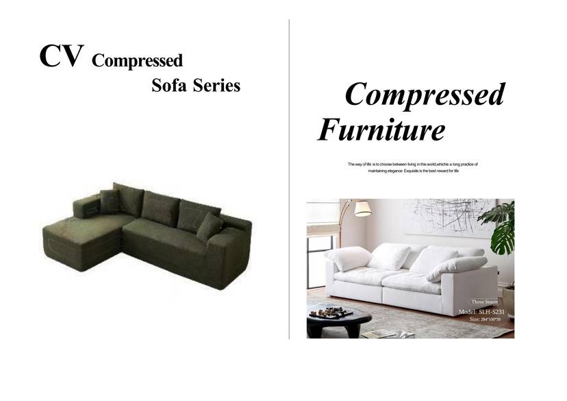 OEM Compressed Sofa Supplier: Elegance & Functionality